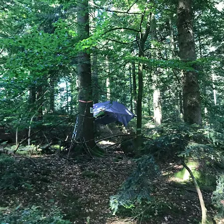 Baumzeltubernachtung Campismo de Luxo *
