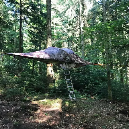 Baumzeltubernachtung Dobel